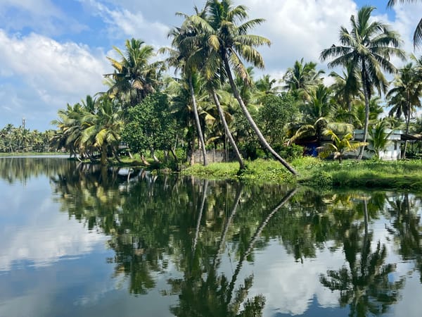 Kerala – pillanatkép 11