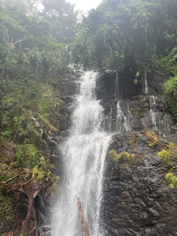 Kerala – pillanatkép 23