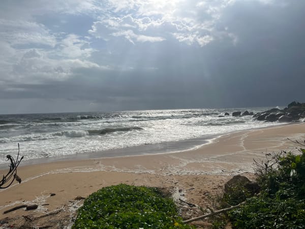 Kerala – pillanatkép 29